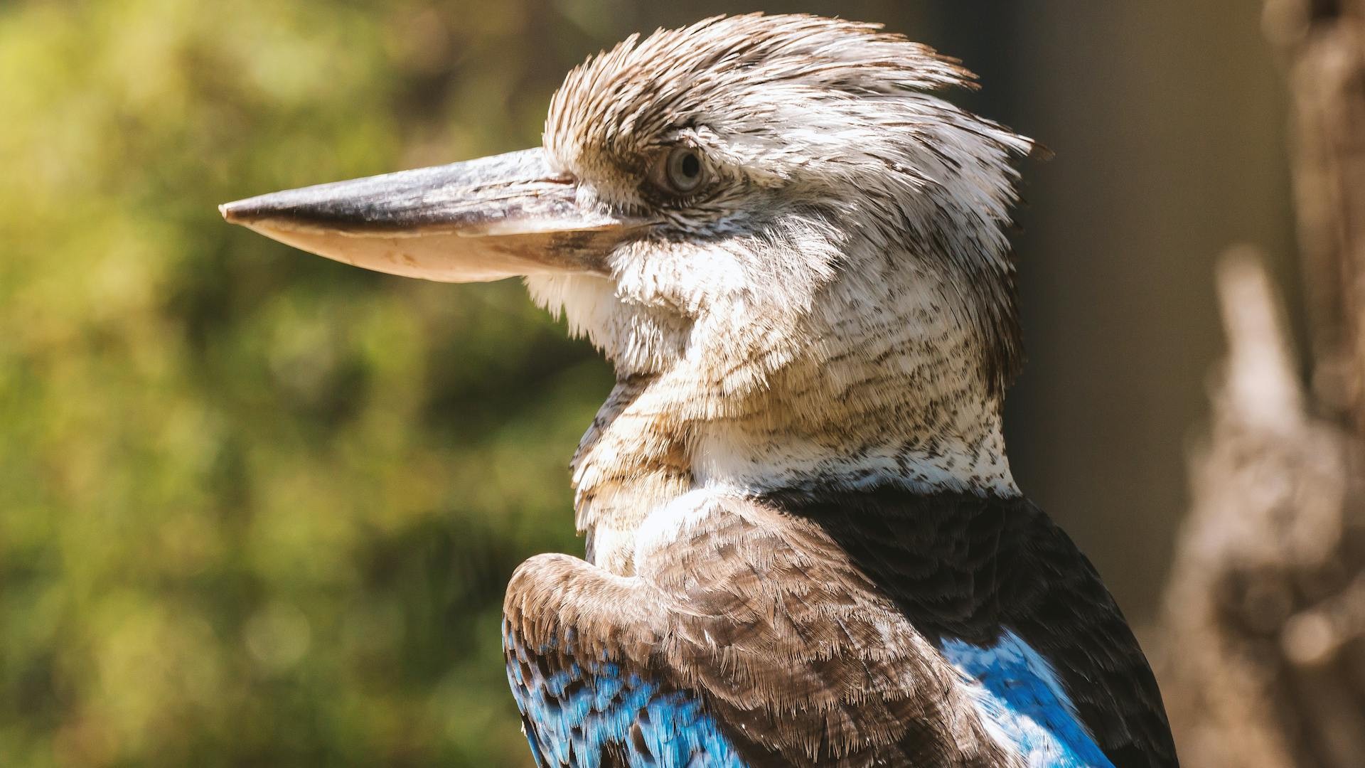 First aid kit and emergency supplies for safe solo travel