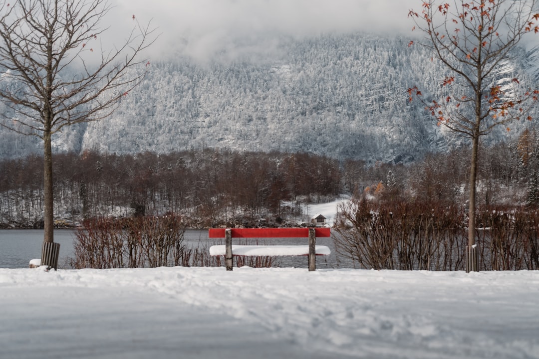 Romantic scenic landscape for Valentine's Day