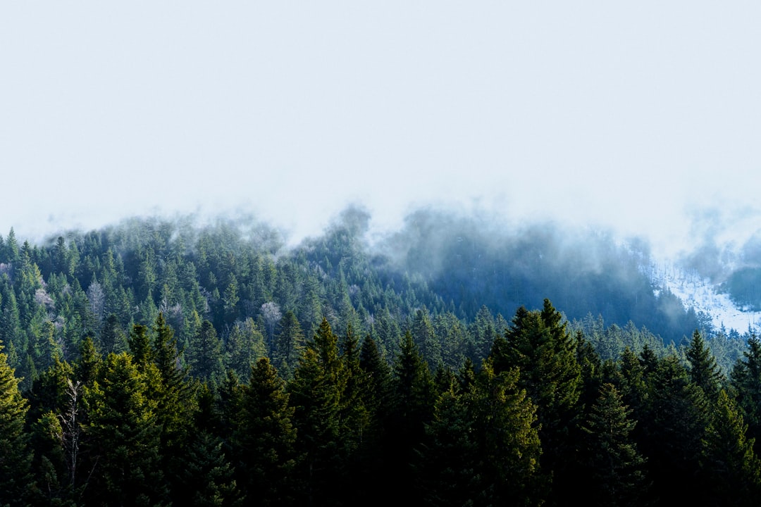 Smoky Mountains misty landscape