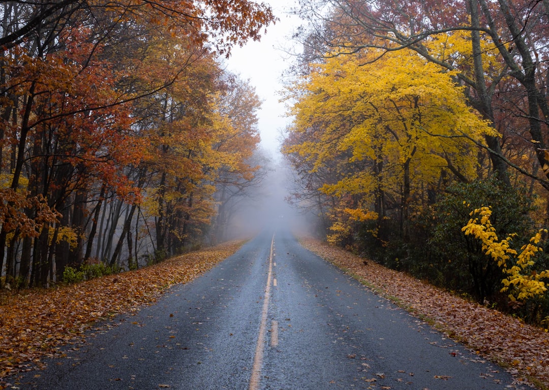 Blue Ridge Parkway autumn fall foliage