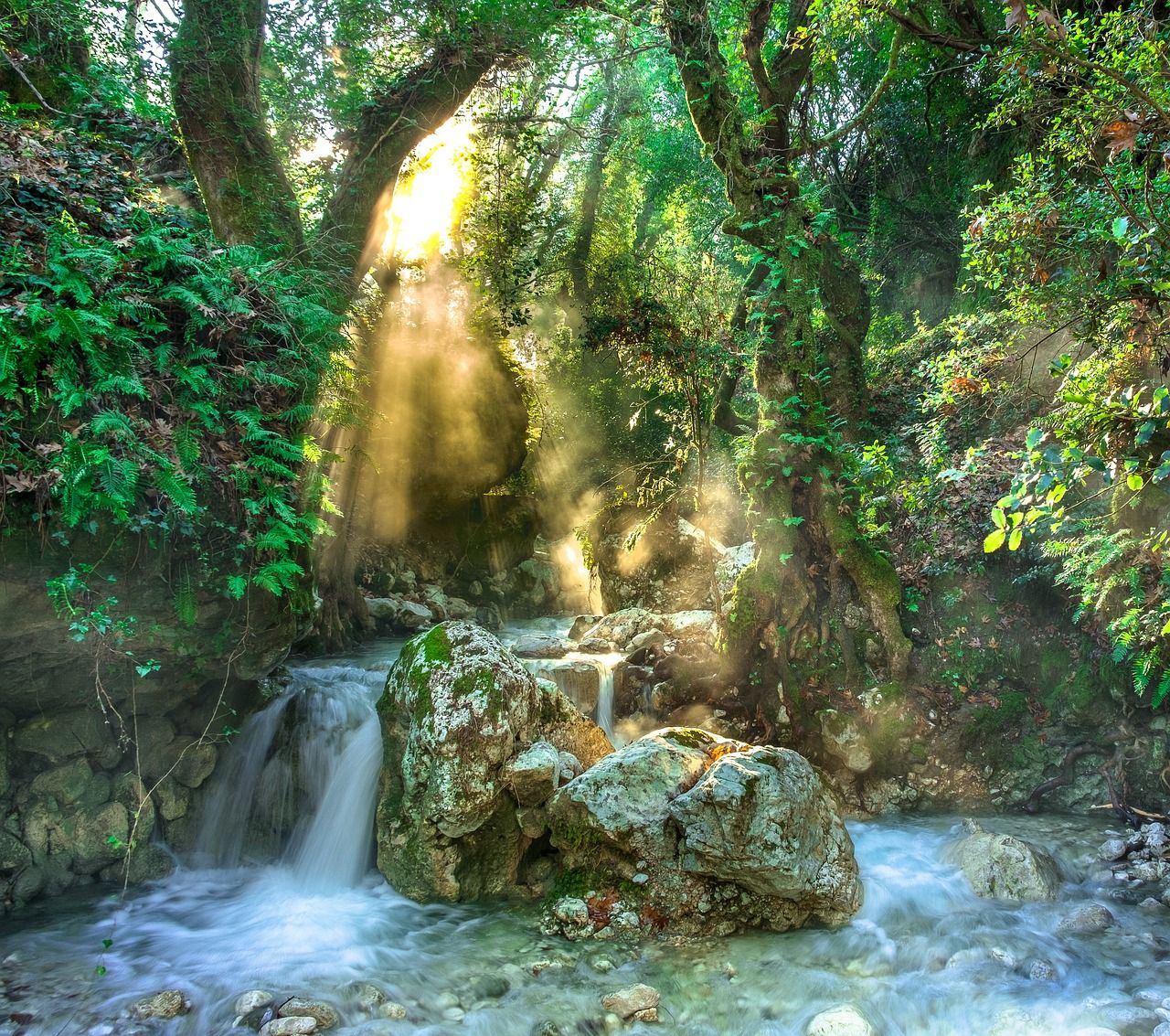 Olympic rainforest waterfall in lush greenery