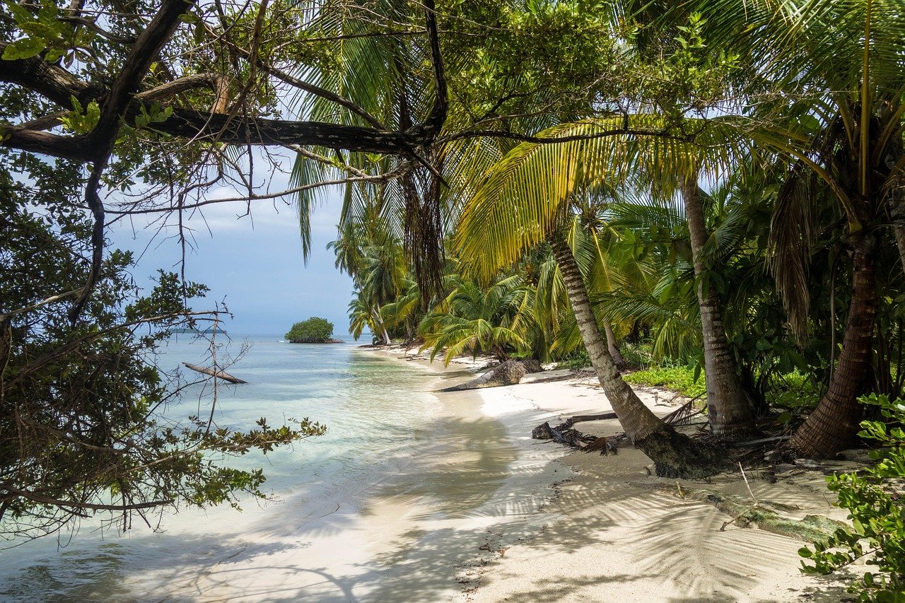 Tropical beach with palm trees and turquoise water