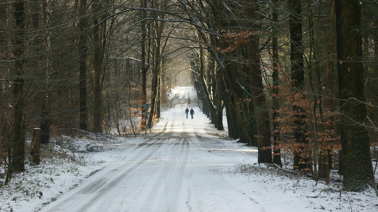 Hiker on scenic trail overlook