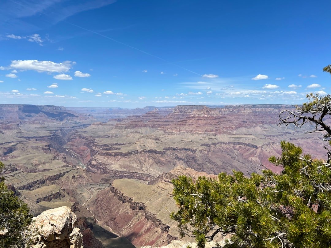 Grand Canyon campervan rim view