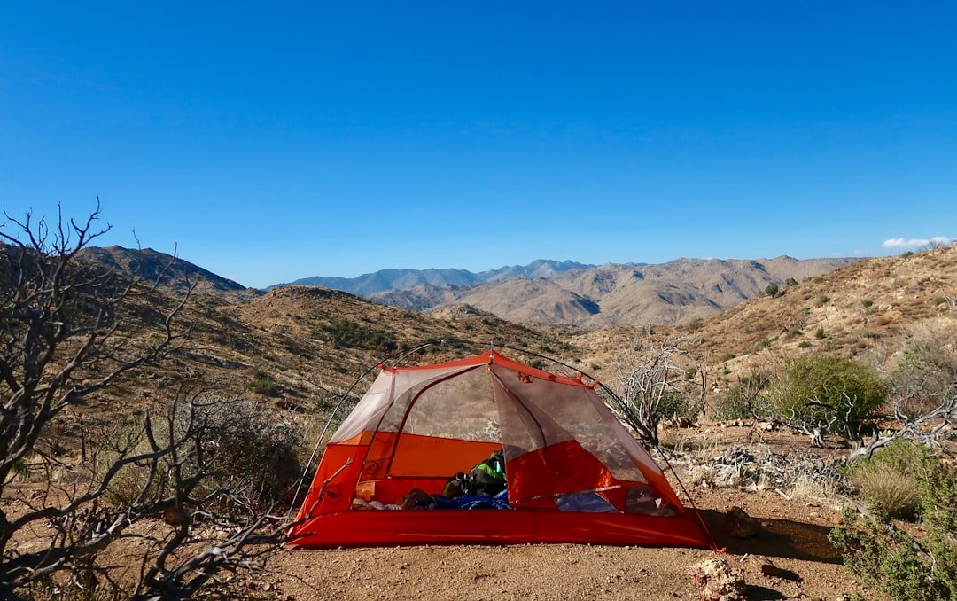 Desert landscape with hiking gear and wildflowers