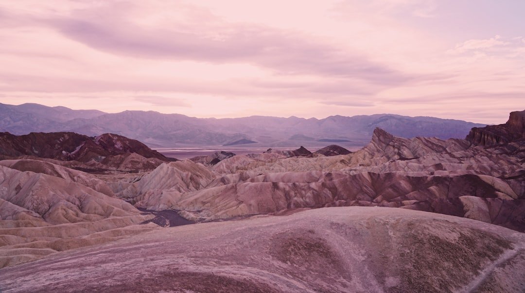 Death Valley wildflowers at sunset with mountains