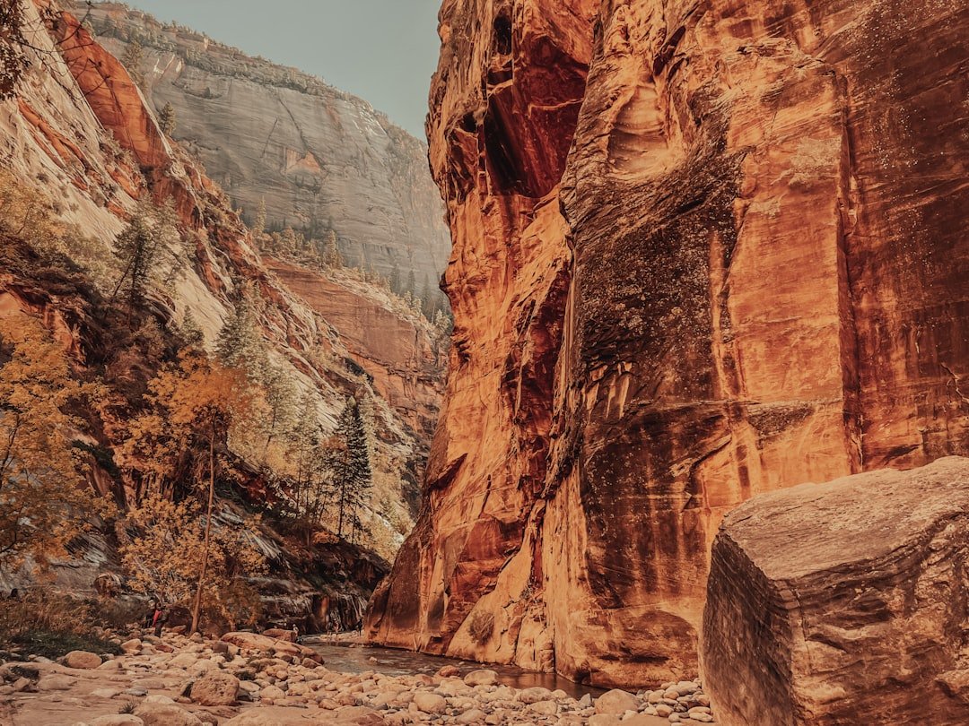 Zion National Park canyon narrows