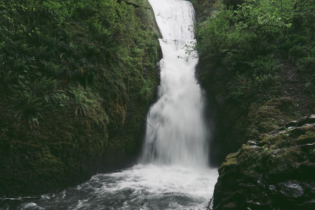 Columbia River waterfall cascading through basalt cliffs