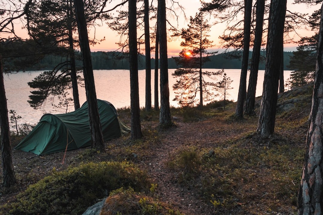 Wild camping tent sunset