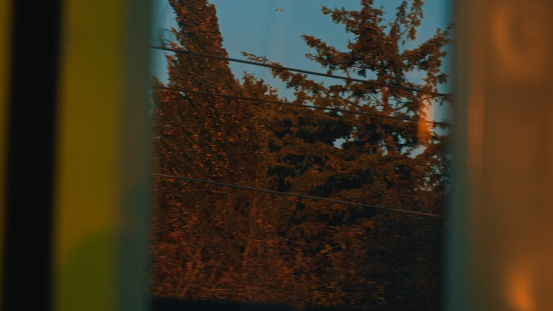 Person contemplative view from accommodation window