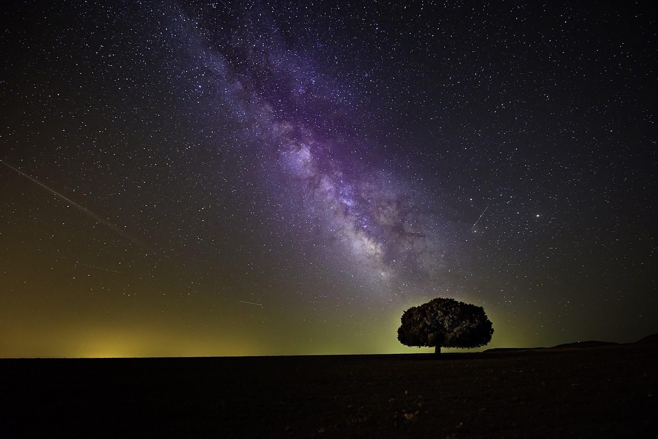 Joshua Tree silhouette against Milky Way