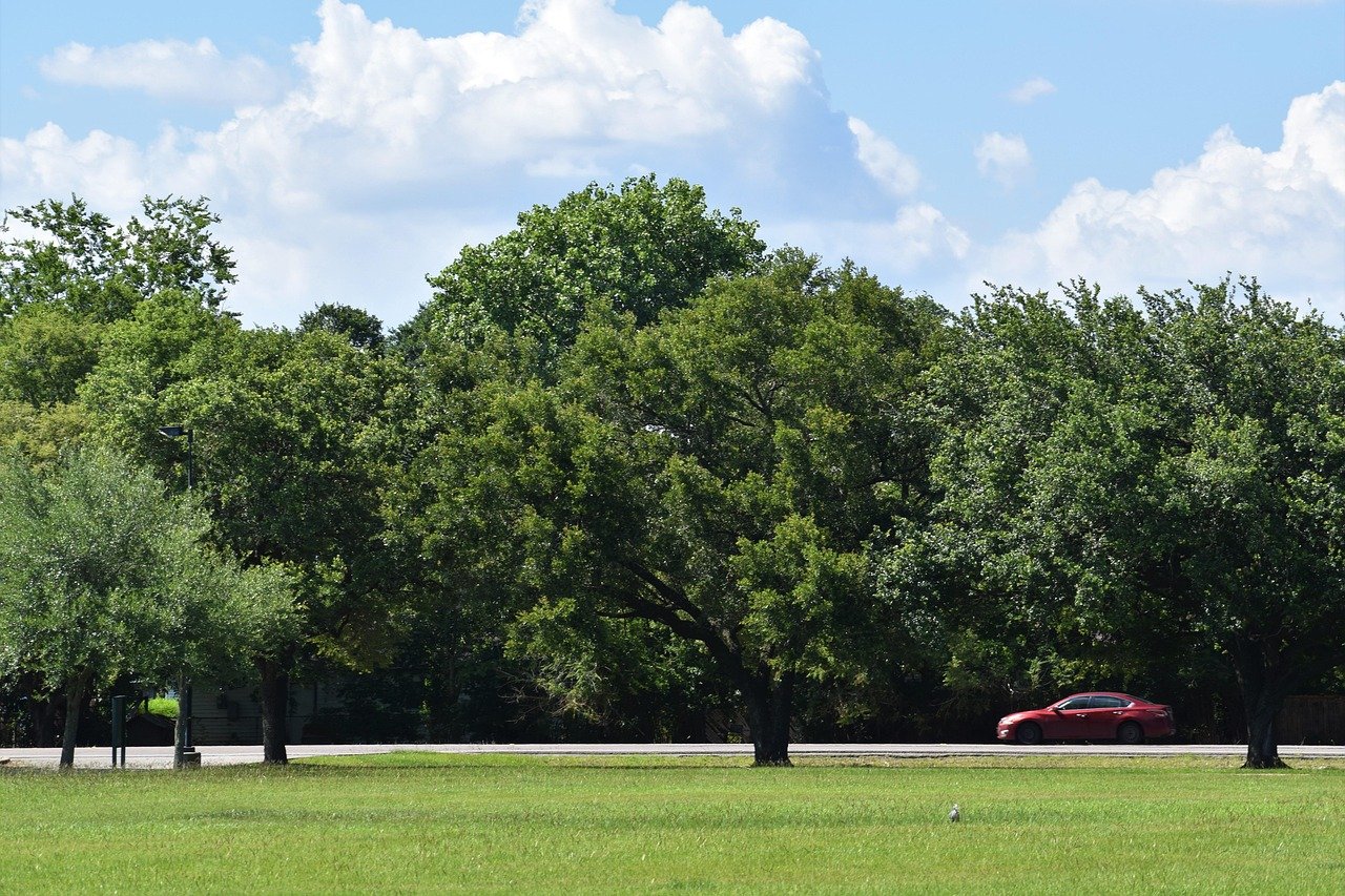 Scenic country road winding through Texas countryside