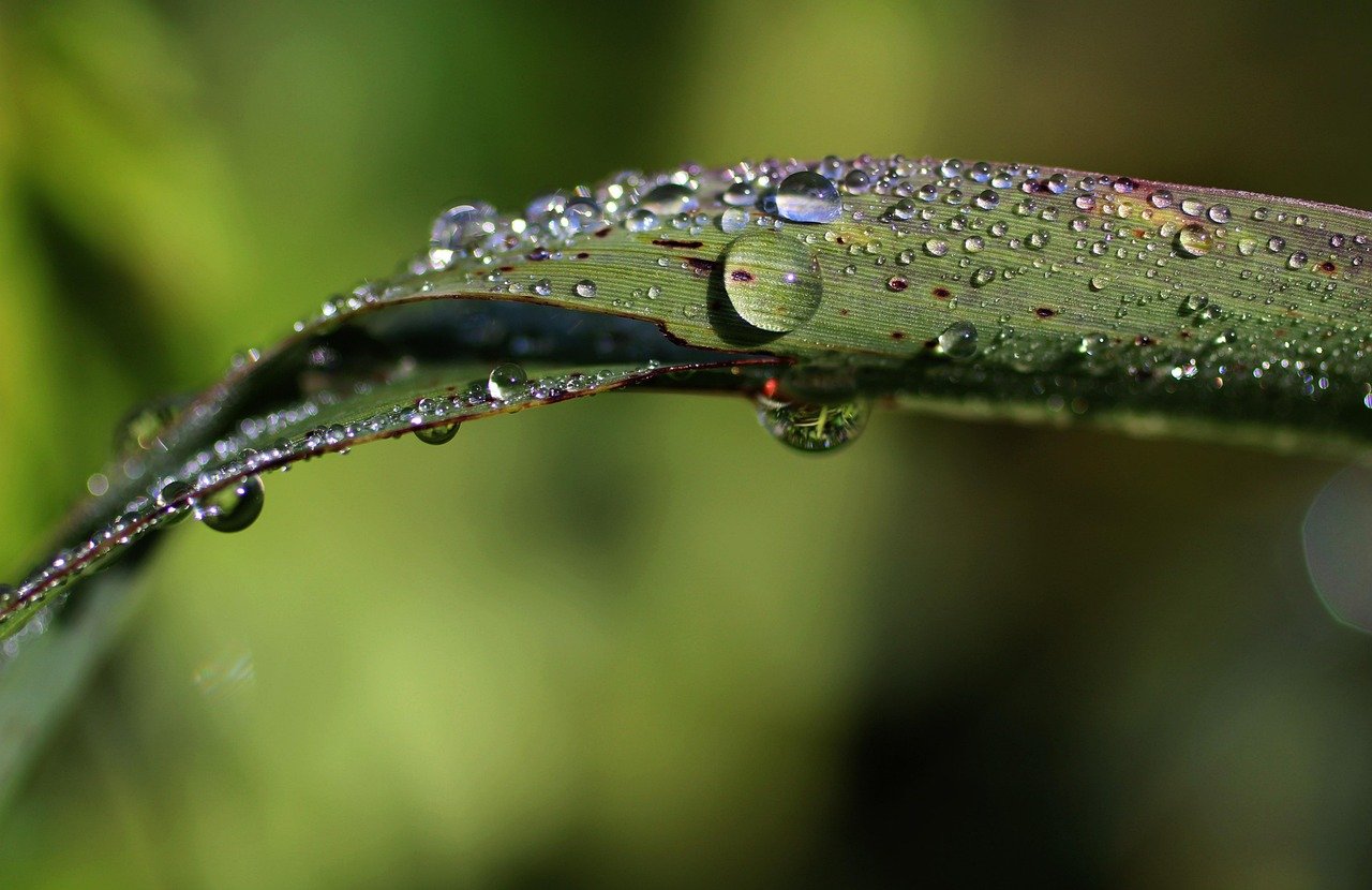 Florida natural springs clear water