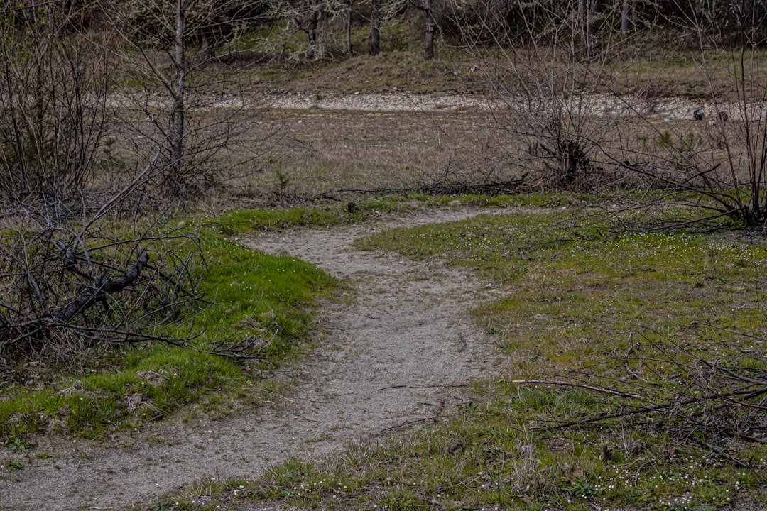 Hiker on muddy spring trail