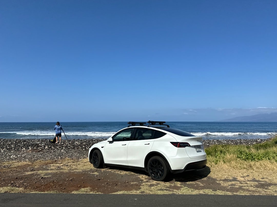 Tesla Model Y on scenic road trip