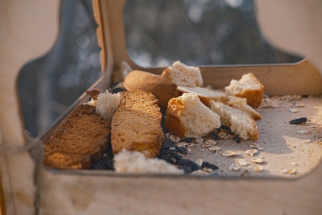 Trail snacks and food for hiking