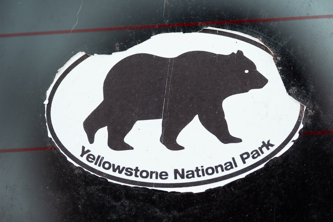 Mama bear with cubs in spring meadow