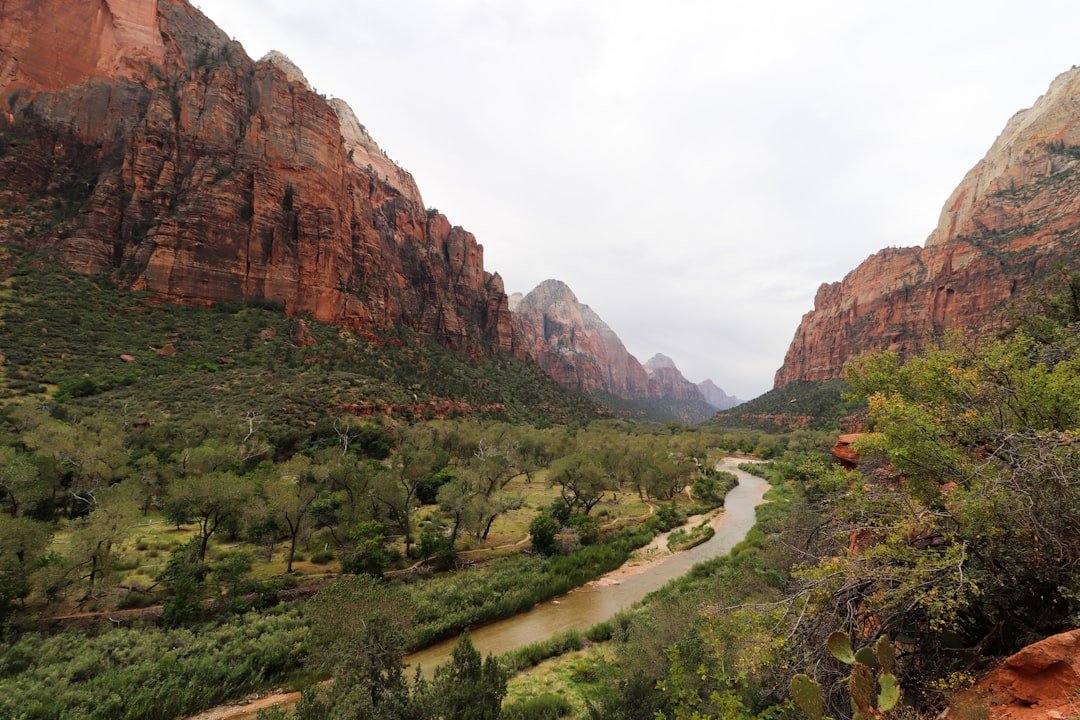 Zion National Park canyon cliffs river