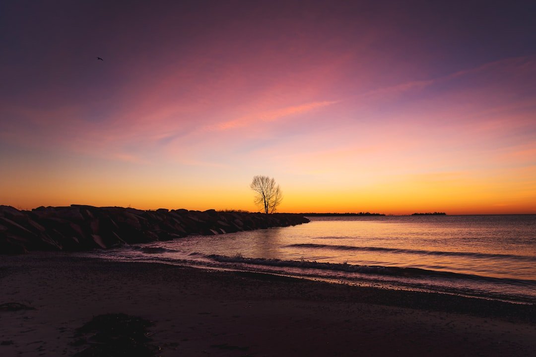 Lake Michigan sunrise harbor view