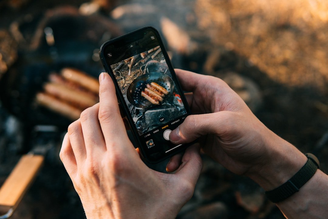 Smartphone app displaying campervan system monitoring data