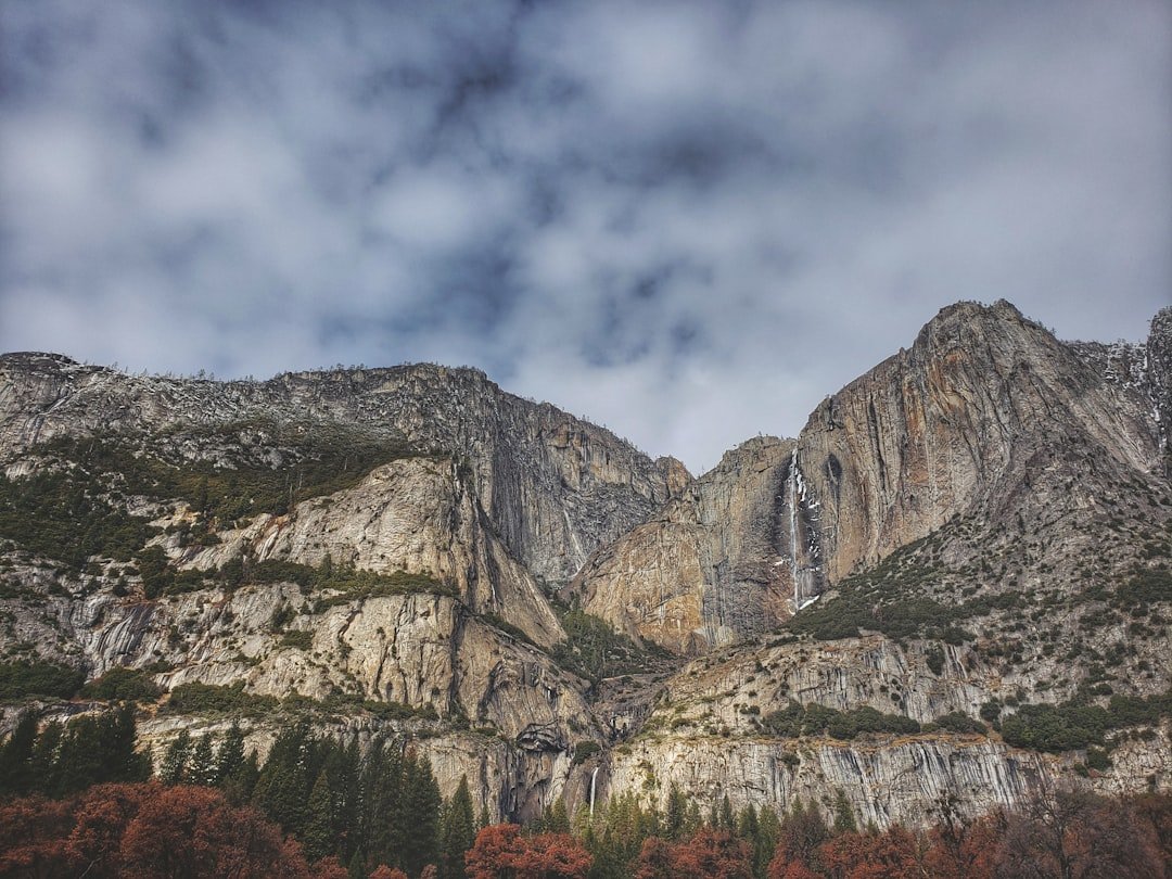 Yosemite valley spring green meadows