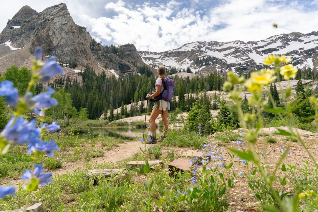 Hiker photographing nature wildflowers