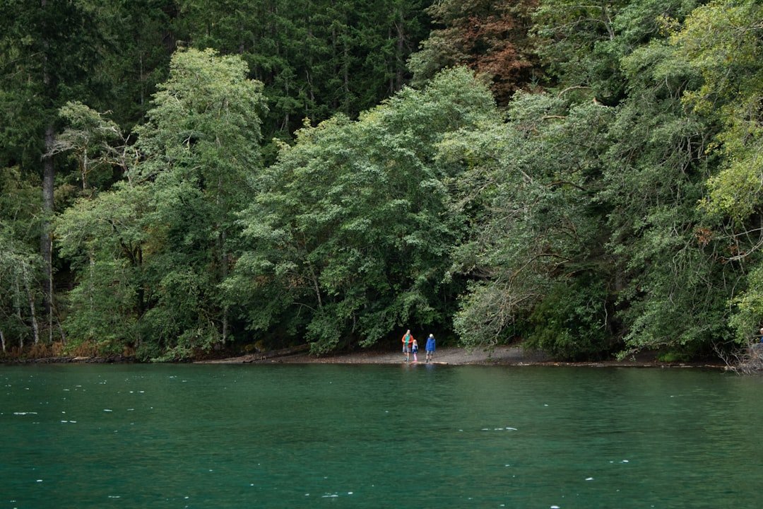 Lake Crescent blue-green water surrounded by mountains