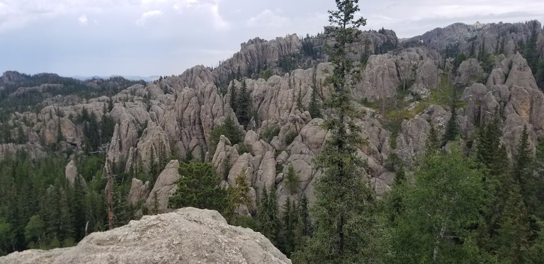 Needles Highway granite spires and tunnels in Black Hills South Dakota scenic drive