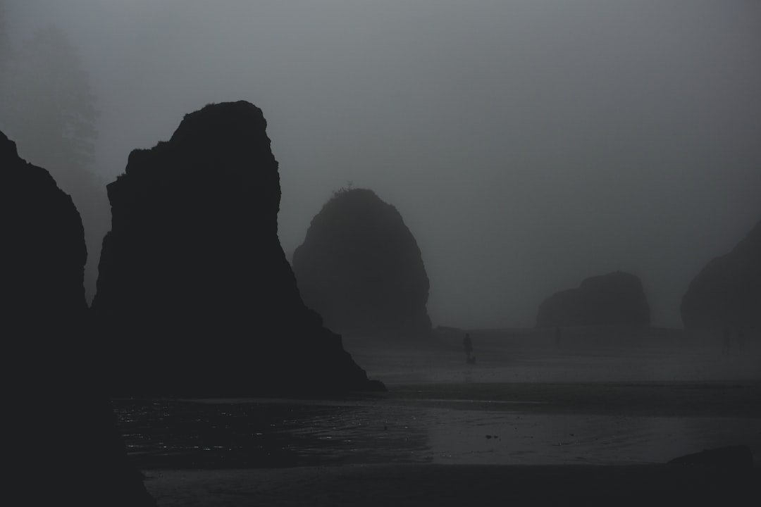 Ruby Beach sea stacks and coastal fog