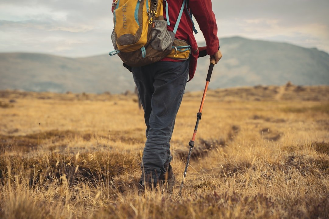 Trekking poles on mountain trail