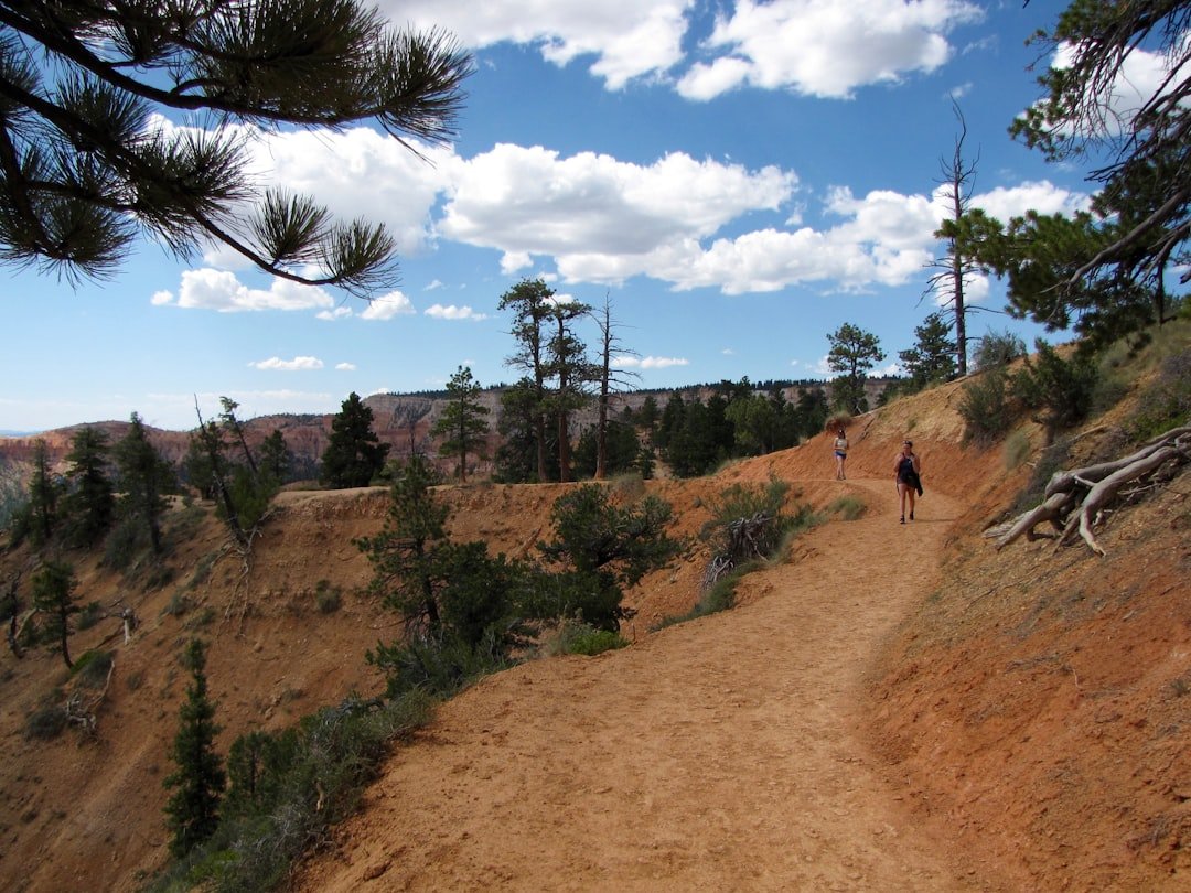 Bryce Canyon hiking trail switchbacks