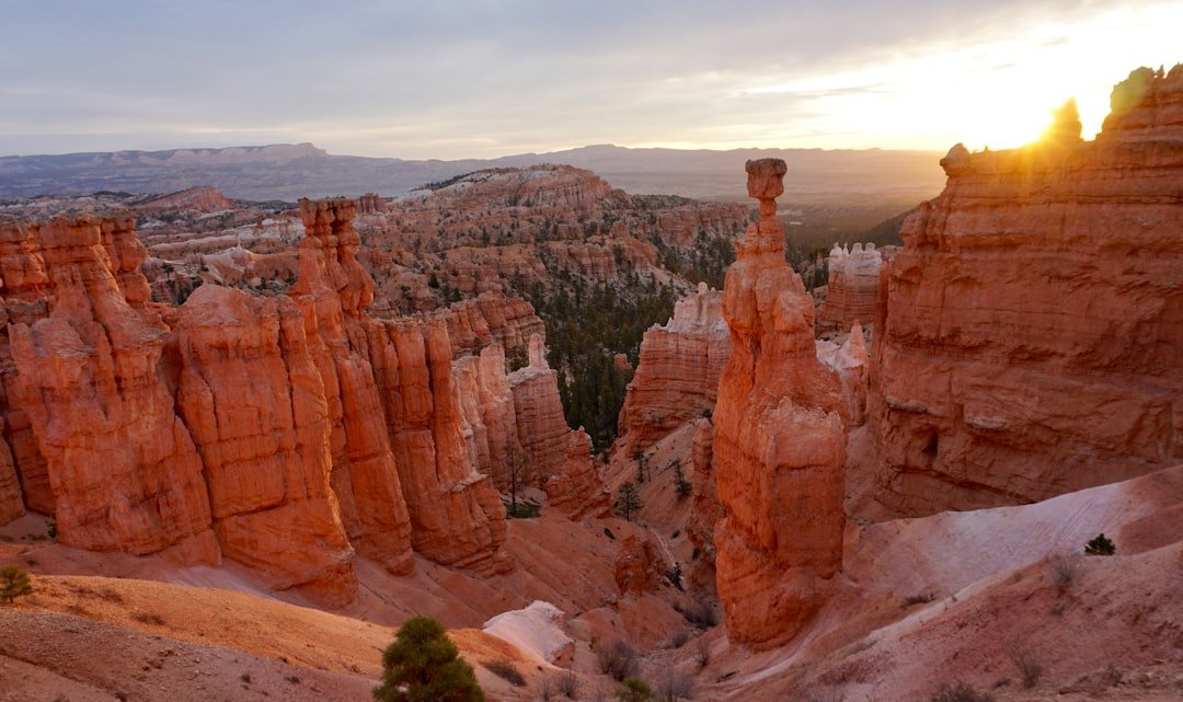 Bryce Canyon hoodoos amphitheater orange sunrise