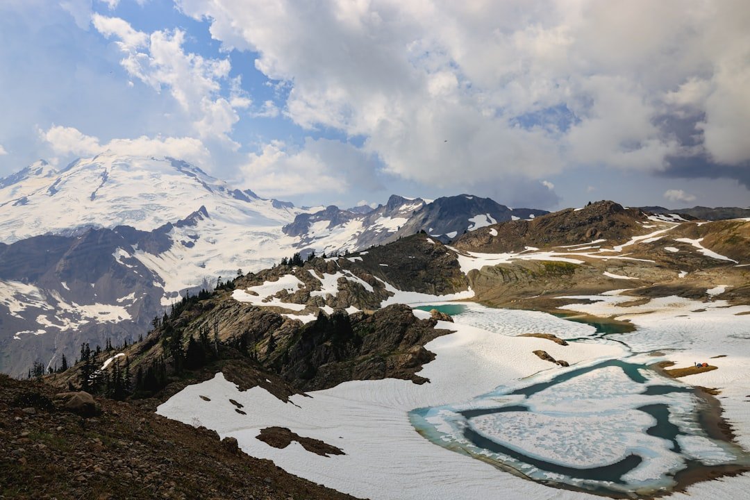 View from Beartooth Pass parking area showing alpine tundra and distant peaks