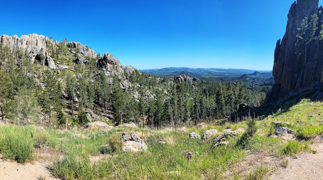 Black Hills South Dakota pine forest mountains scenic landscape in spring