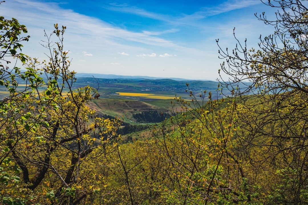 Mountain trail spring hiking