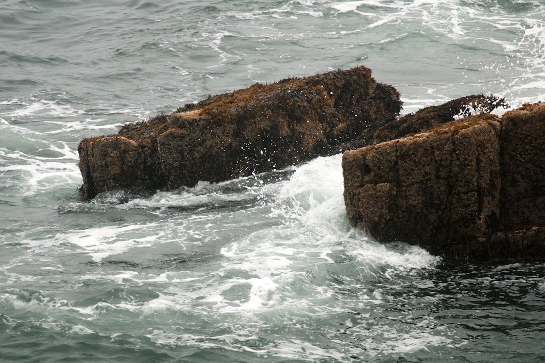 Powerful waves crashing into rocky inlet along Acadia's dramatic coastline