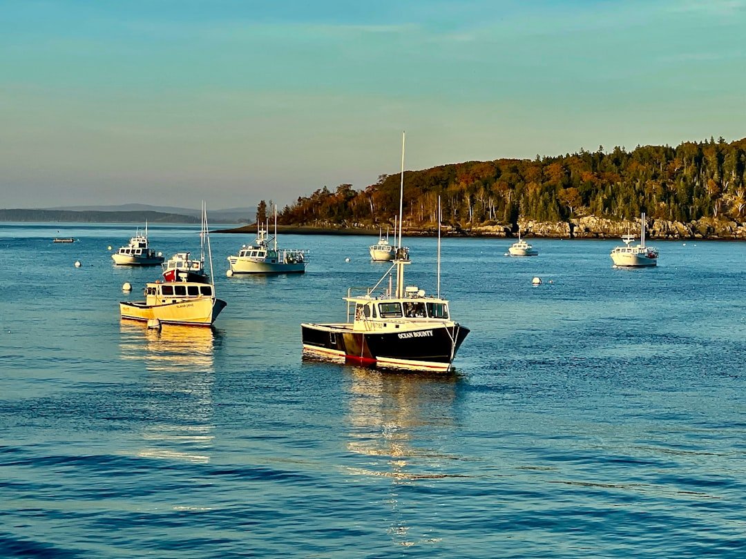 Fresh Maine lobster served at a harborside restaurant in Bar Harbor