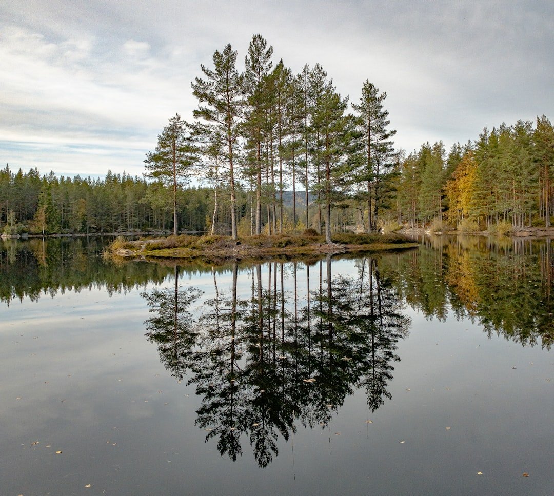 Jordan Pond with mountain reflections on a calm summer morning in Acadia