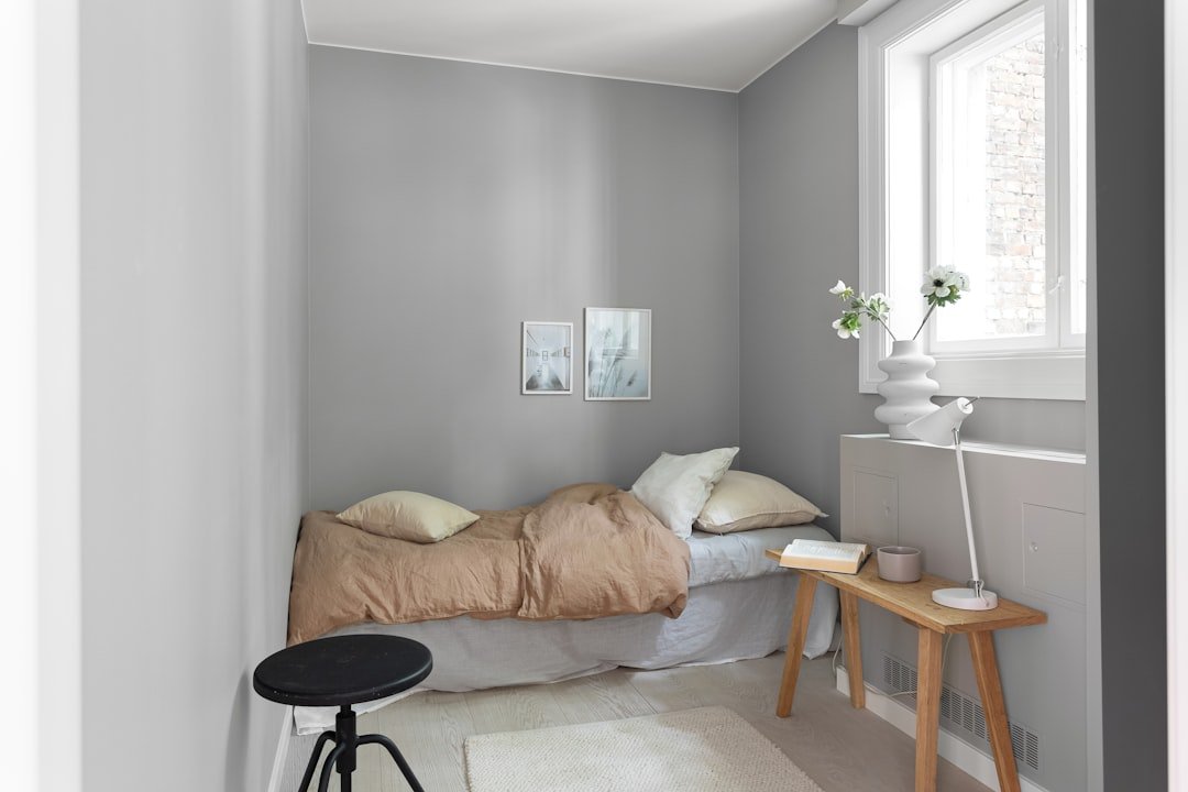 Minimal small space interior design showing efficient use of limited area