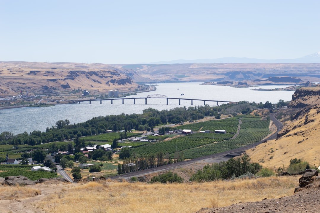 Washington state wine vineyard rows