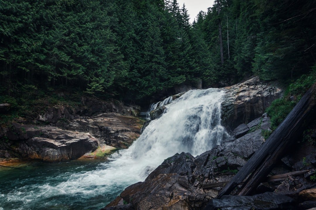 Waterfall cascading through lush forest trail