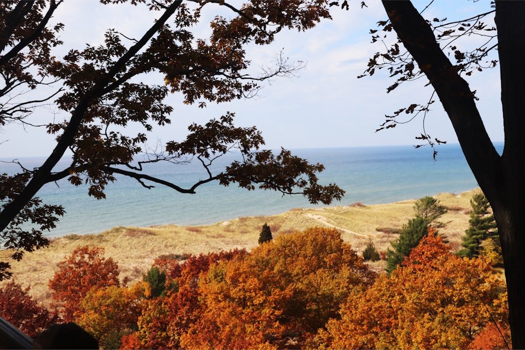Scenic overlook above a lake surrounded by forest in Michigan