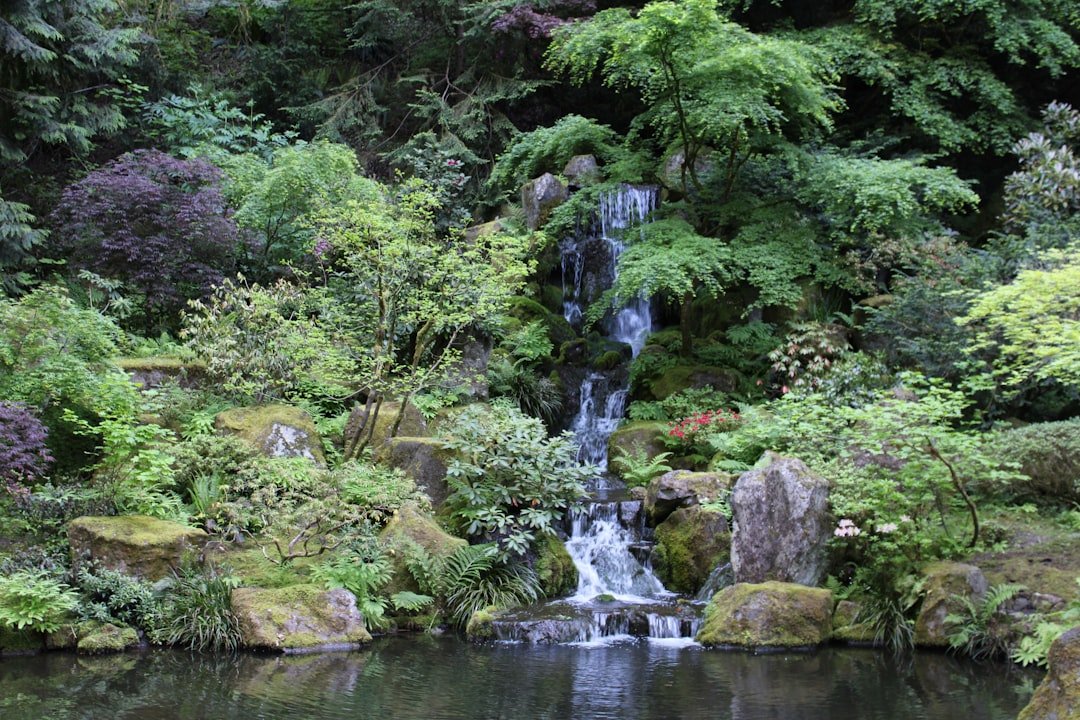 Peaceful Japanese garden with pond