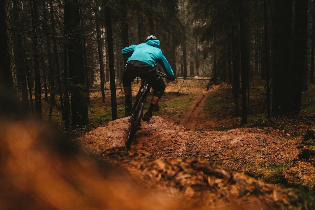 Mountain biker riding through a lush forest trail