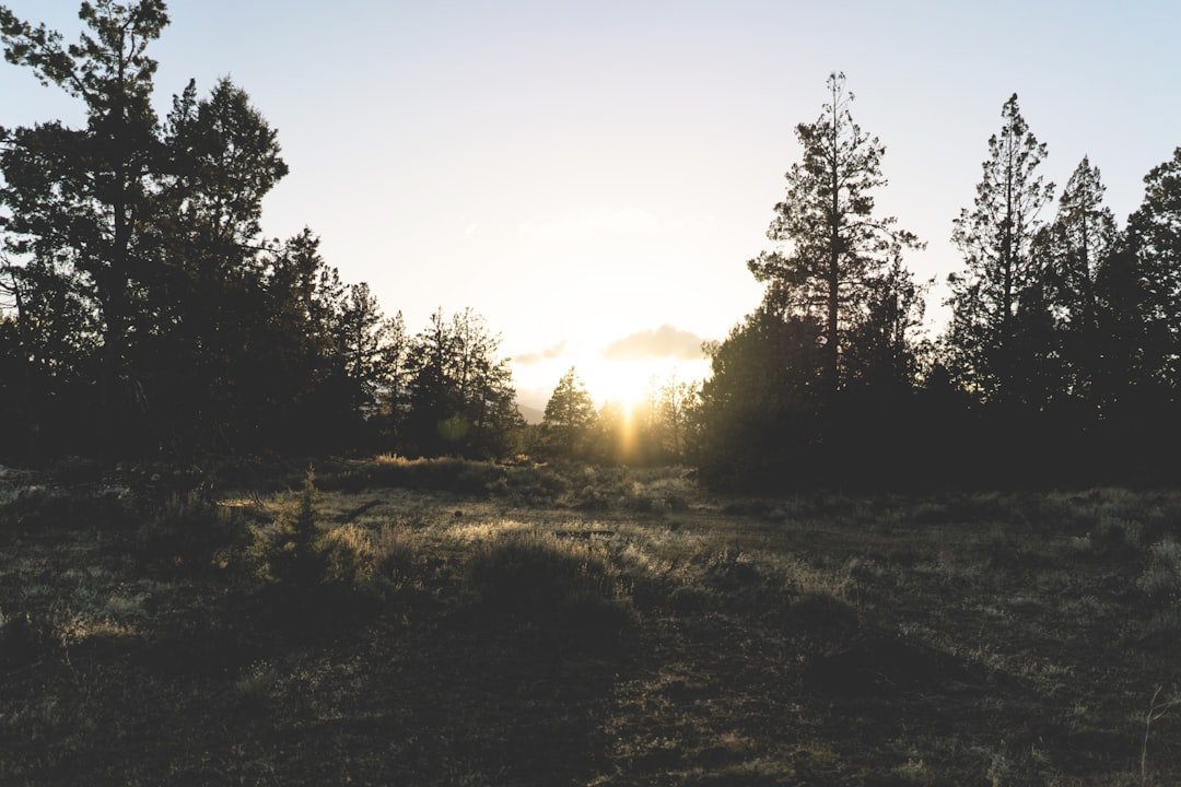 High desert sunset over Oregon landscape