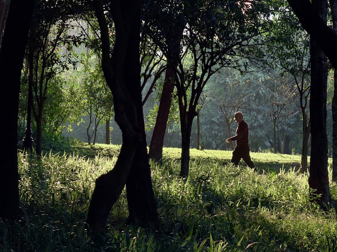 Morning sunlight walk helps reset your body clock after landing