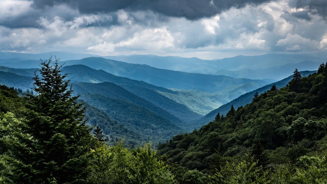 Scenic river flowing through the Great Smoky Mountains