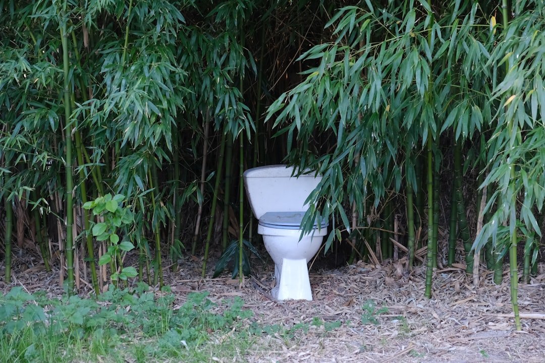 Camping toilet setup outdoor portable