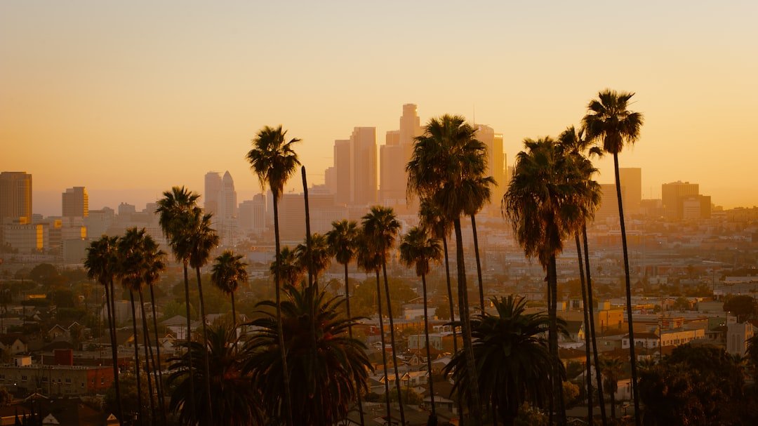 Los Angeles palm trees at sunset