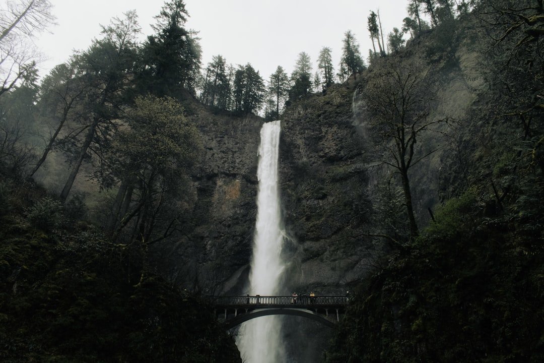Bridge overlooking a tall waterfall in the Columbia River Gorge